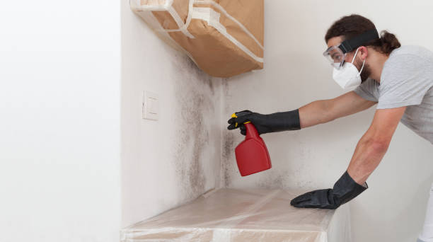 Professional Bathroom Mold Removal technician working in Sawyer, MI