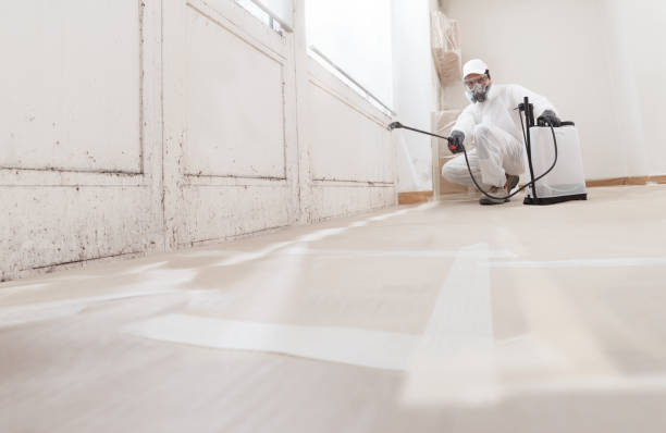 24/7 Emergency Bathroom Mold Removal experts in Sawyer, MI